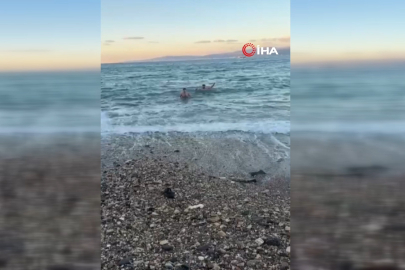 Bursa'da dondurucu soğukta denize girdiler