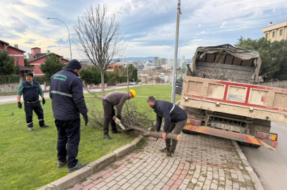 Bursa'da şiddetli lodosun devirdiği ağaçlara anında müdahale