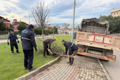 Bursa'da şiddetli lodosun devirdiği ağaçlara anında müdahale