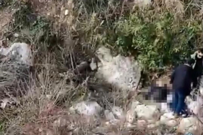 Balıkesir'de kayıp olarak aranıyordu! Cansız bedeni Mersin'de bulundu