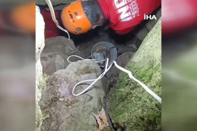 Bursa'da hayvan kurtarma operasyonu