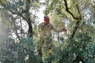 Mudanya Belediyesi’nden taşınmaz satışlarıyla ilgili açıklama!
