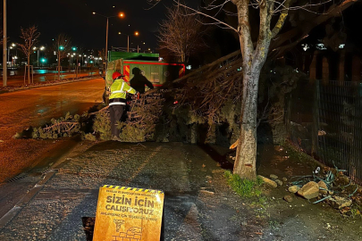 Bursa'da lodos alarmı: Büyükşehir ekipleri 42 ihbarda hızla müdahale etti