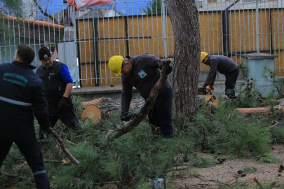 Osmangazi'de lodos mesaisi