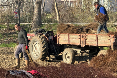 Kurulan her meyve bahçesinde "Bursa" imzası var