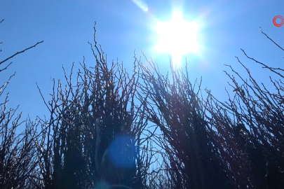 Kurulan her meyve bahçesinde "Bursa" imzası var