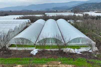 Lodostan zarar gören seralara Bursa Büyükşehir'den destek