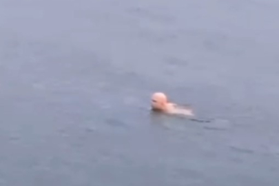 Bursa’da dondurucu soğukta deniz keyfi