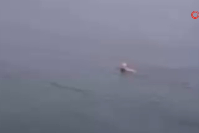 Bursa’da dondurucu soğukta deniz keyfi