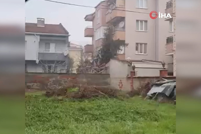 Sokak aralarında gezen tilki dikkat çekti