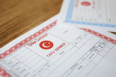 Sivas'ta bir memur sahte tapu ile hazine arazilerini satışa çıkardı