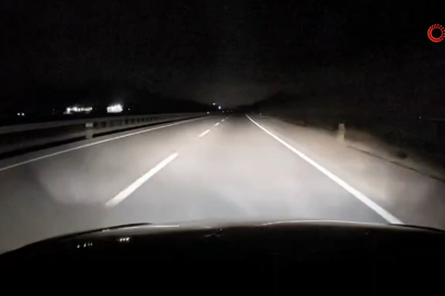 Bursa'da yola atlayan tilki sürücüye zor anlar yaşattı