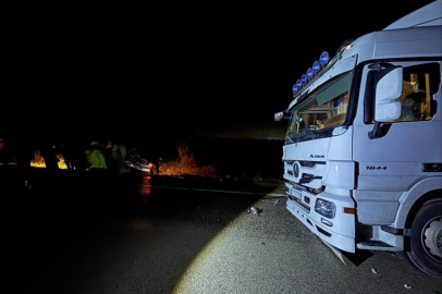 Bursa'da köpekler nedeniyle otoyolda can pazarı