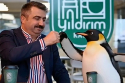 Viral penguen Bursa’ya da uğradı: Belediyelerden tebessüm ettiren akım