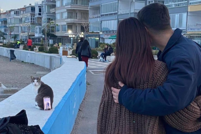 Bursa sahilinde ilginç fotoğraf çözümü: Tripod yerine kedi kullandılar