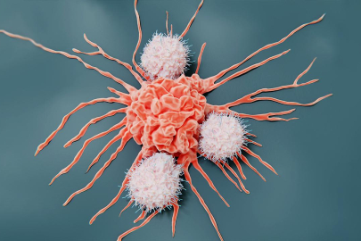 İspanya'da araştırmacılar farelerde pankreas kanserini tedavi etti