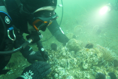 Marmara Denizi'ne kıyı kentlerin Belediye Başkanlarına dalış çağrı