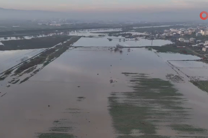 Bursa'da binlerce dekar ekili alan sular altında kaldı