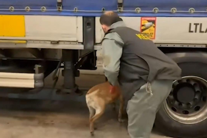 Uluslararası uyuşturucu ticaretiyle mücadele: 240 kilo uyuşturucu ele geçirildi