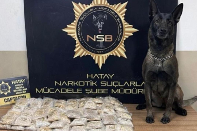 Zeytinyağı tenekelerinden 100 bin uyuşturucu hap çıktı