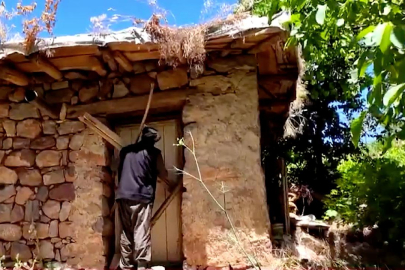 Türkiye'nin 70 köyünde 10 veya daha az kişi yaşıyor