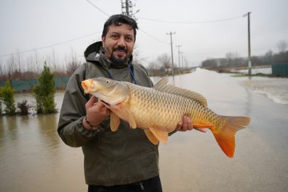 Eliyle 7 kiloluk sazan yakaladı!
