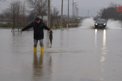 Meriç Nehri taştı: Eliyle 7 kiloluk sazan yakaladı!