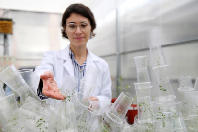 Türk bilim kadını deneyleriyle uzay biyolojisine katkı sunuyor