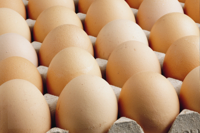 Kişi başına düşen yumurta üretimi 15 adet azaldı