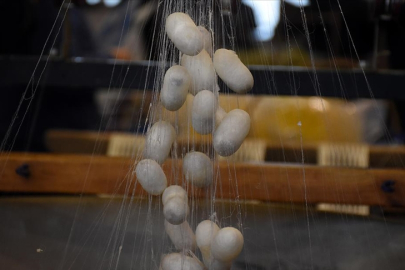 Bursa'da İpekböcekçiliği sektörü koza üretiminde çıtayı yükseltti