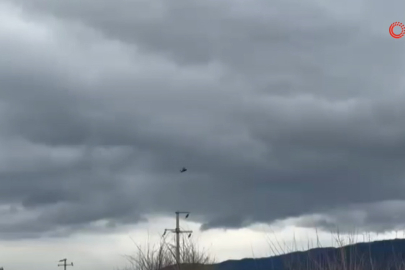 1 hafta boyunca mahsur kalmış! Tesadüfen fark edildi