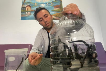 Mezbaha kanıyla besleniyor, birçok hastalığa şifa oluyorlar