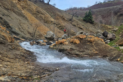 Diyarbakır kaybolan engelli yaşlı adamı arama çalışmaları sürüyor