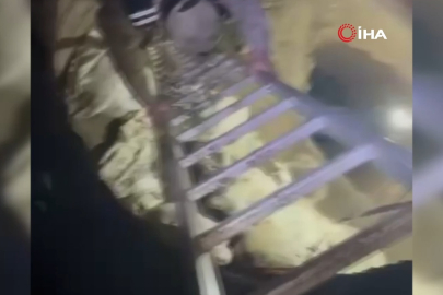 Hazine hayaliyle 40 metre derine indi... Cezaevine girdi!