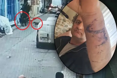 Bursa'da pitbull ile dehşet! Sanıklara ceza yağdı
