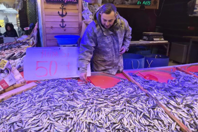 Hamsinin fiyatı 50 TL'ye düştü; uzun kuyruklar oluştu