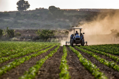 Son dönem yağışları can suyu oldu, tarımsal risk beklenmiyor