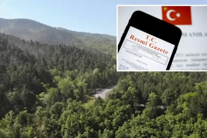 Bursa’da bazı alanlar orman sınırı dışına çıkarıldı