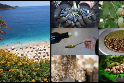 Coğrafi işaret başvurusunda Antalya, tescilinde Hatay zirvede yer aldı