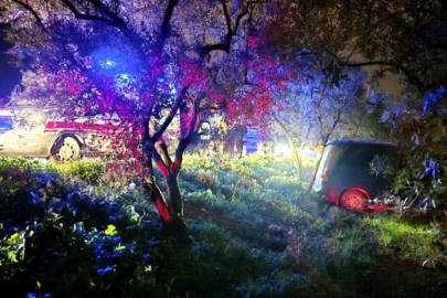 Mudanya’da kazadan kaçan sürücü zeytinliğe daldı