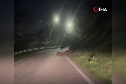 Bursa'da heyelan: Kazayı kıl payı atlattı