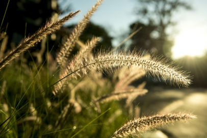 Cemre düştü mü? Üçüncü cemre ne zaman düşecek?
