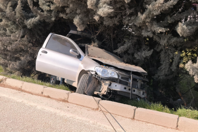 Kontrolden çıkan araç ağaçlık alana uçtu