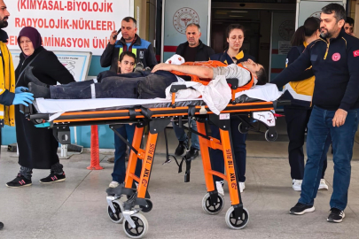 Bıçkı makinesi dehşet saçtı