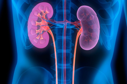 "Su tüketimi böbrek sağlığının temelidir"