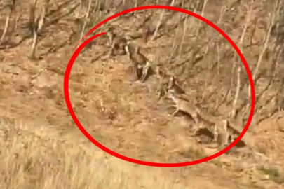 Bursa'da yola indiler...