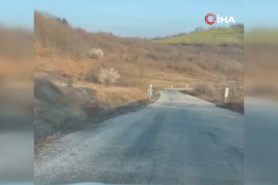 Bursa'da yola indiler...