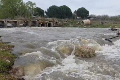 Bursa'da kuruyan dere coştu... İznik Gölü’ne umut oldu