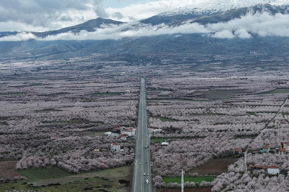 "Dünya kayısı başkenti" Malatya beyaza büründü