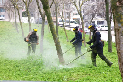 Bursa Osmangazi yabani otlardan temizleniyor